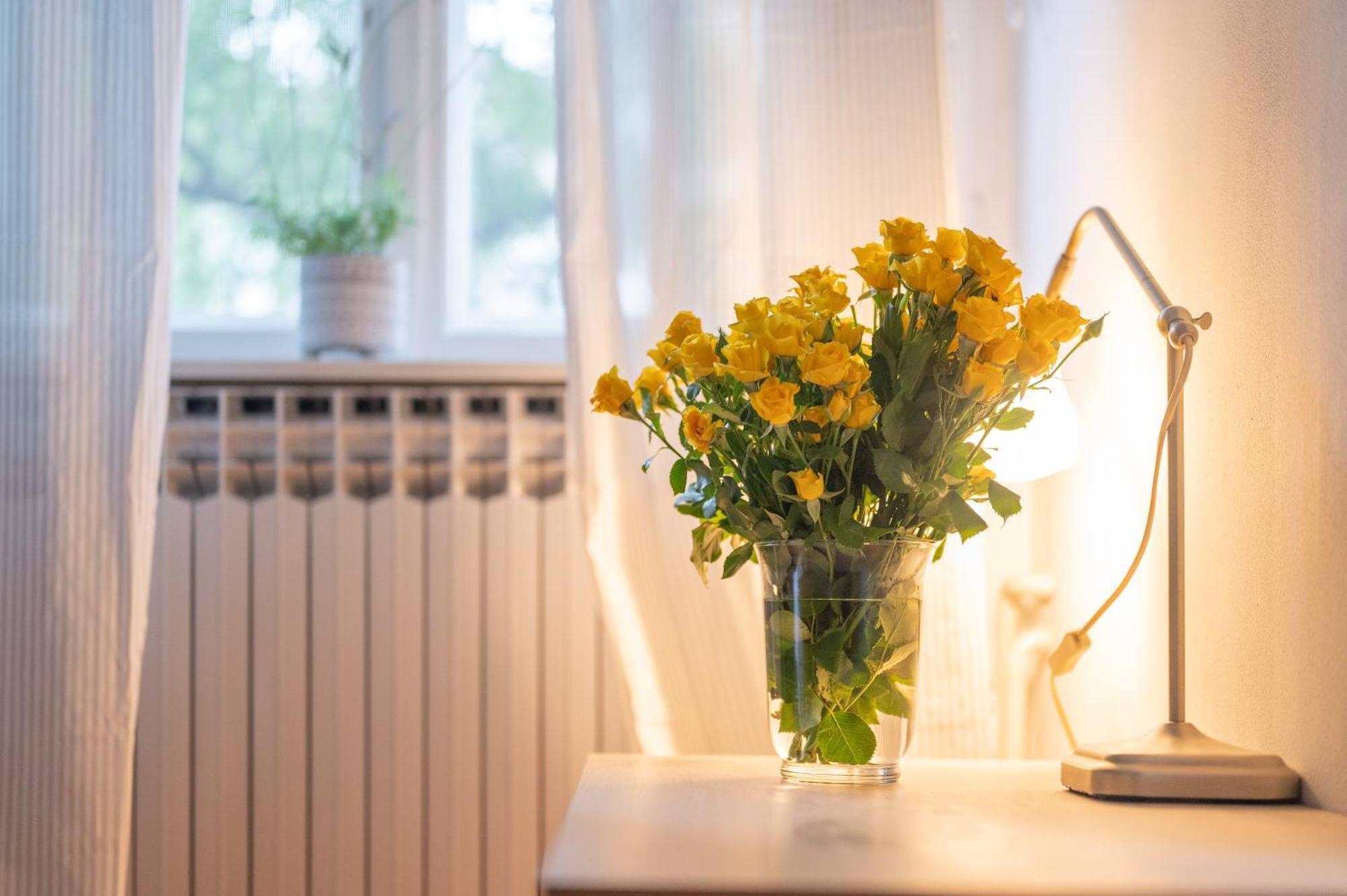 Bricks & Bikes Apartment ซาเกร็บ ภายนอก รูปภาพ